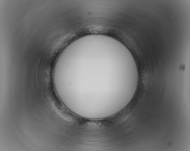 X0000110670690200907021846