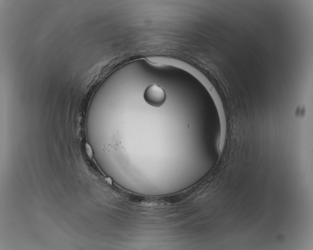X0000110670693200907021846