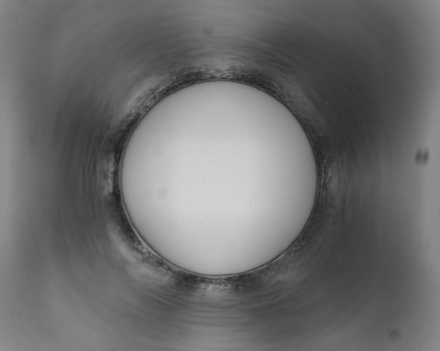 X0000110670694200907021846