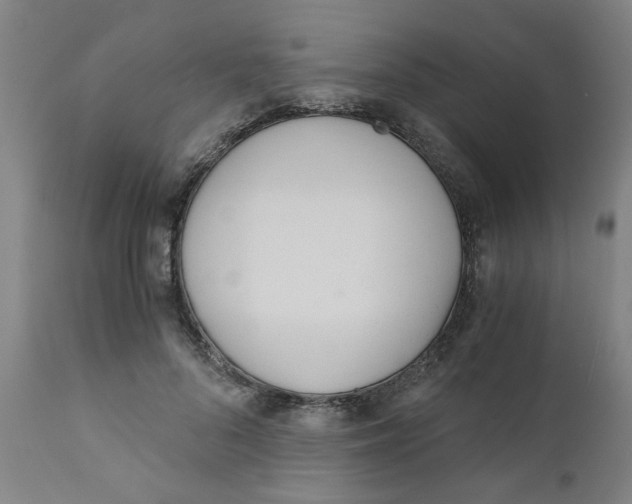 X0000110670696200907021846