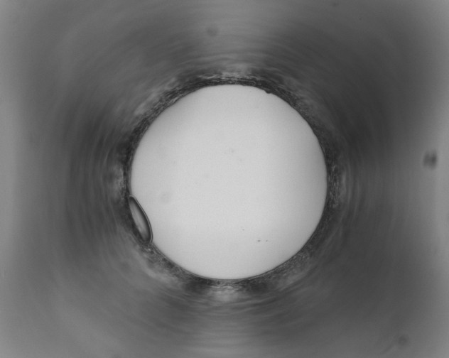 X0000110670704200907021846