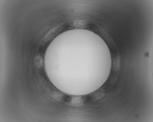 X0000110670705200907021846
