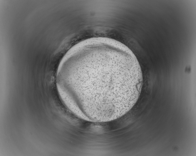 X0000110670706200907021846