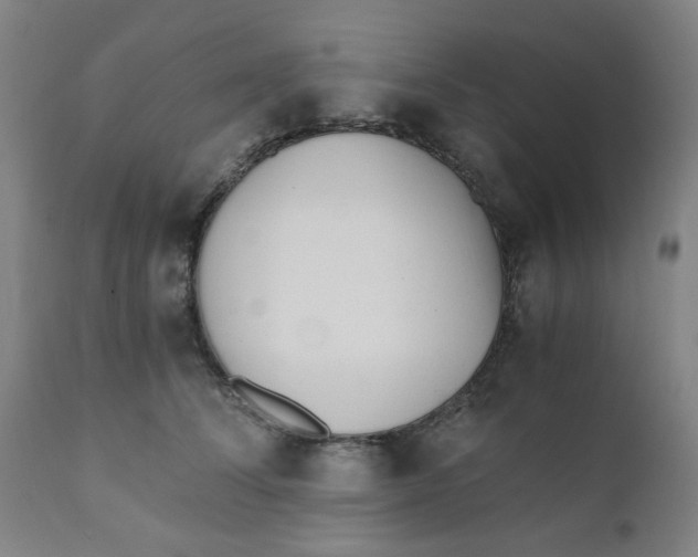 X0000110670708200907021846