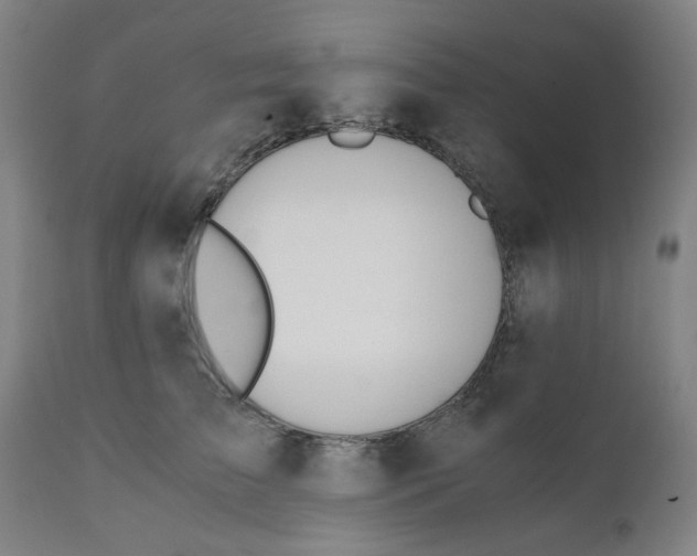X0000110670709200907021846