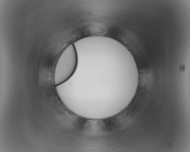 X0000110670713200907021846