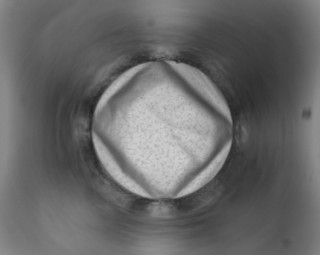 X0000110670714200907021846