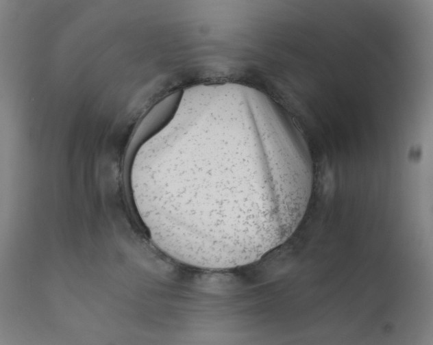 X0000110670716200907021846