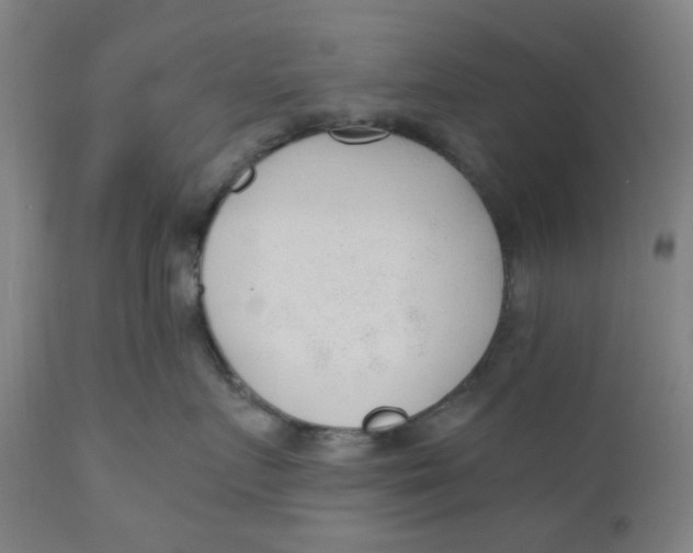 X0000110670719200907021846