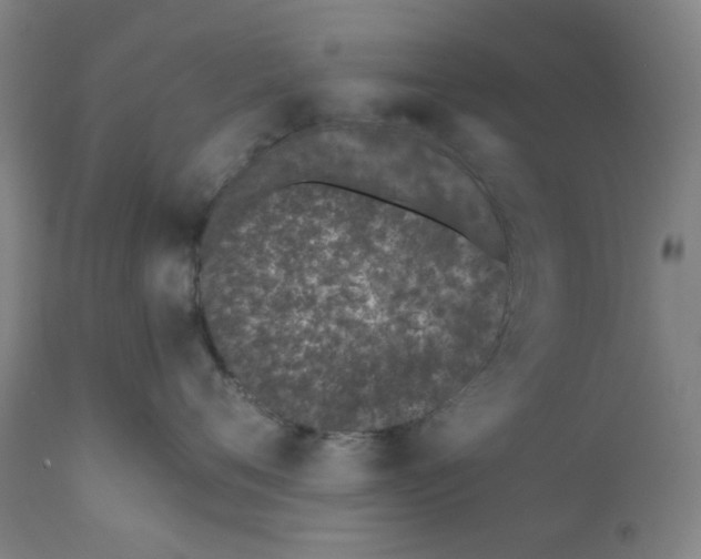 X0000110670720200907021846