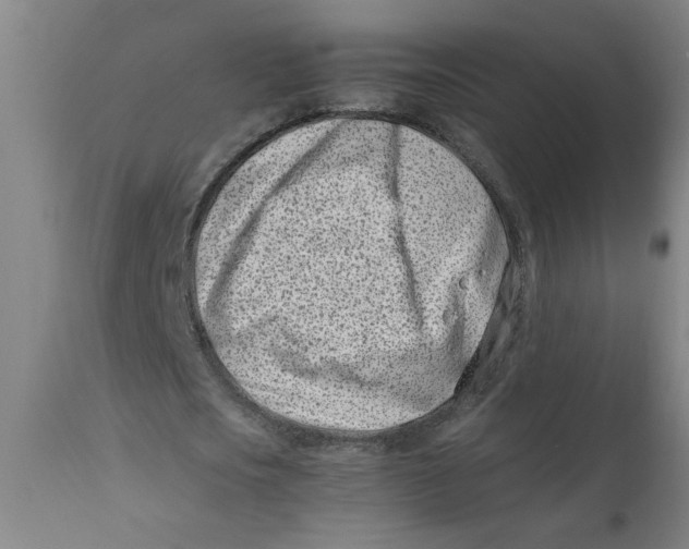 X0000110670721200907021845