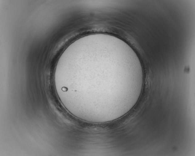 X0000110670722200907021845