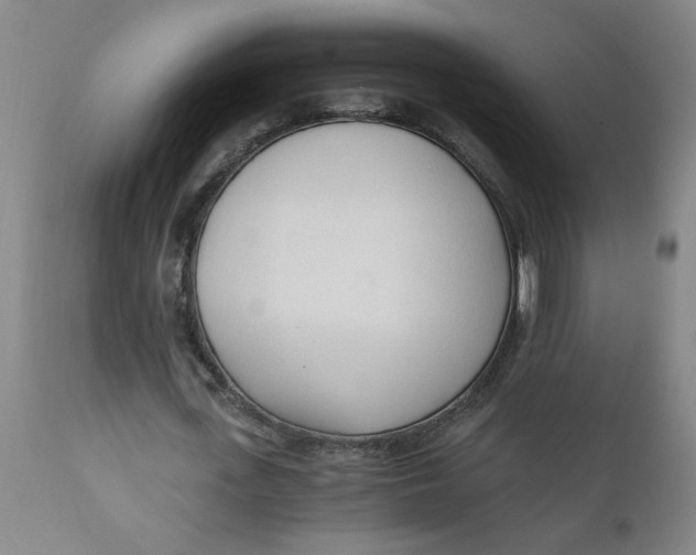 X0000110670723200907021845