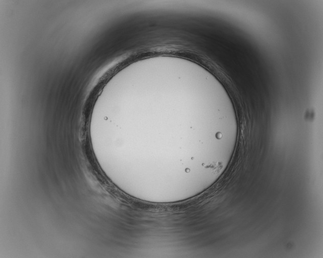 X0000110670724200907021845