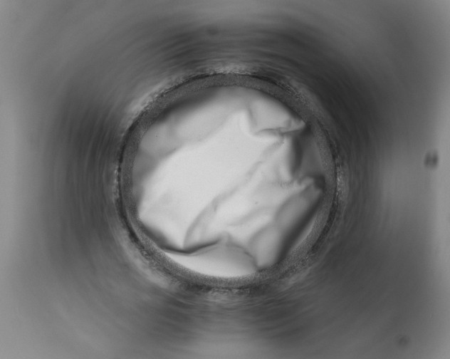 X0000110670725200907021845