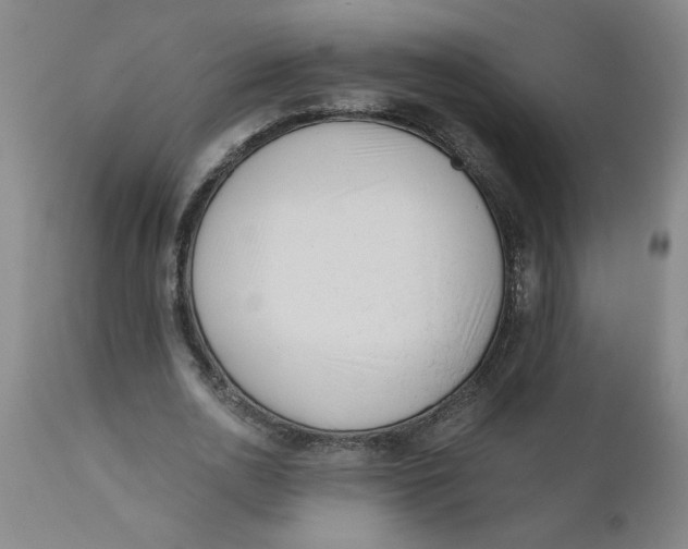 X0000110670726200907021845
