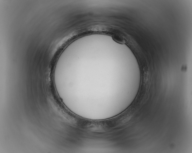 X0000110670727200907021845