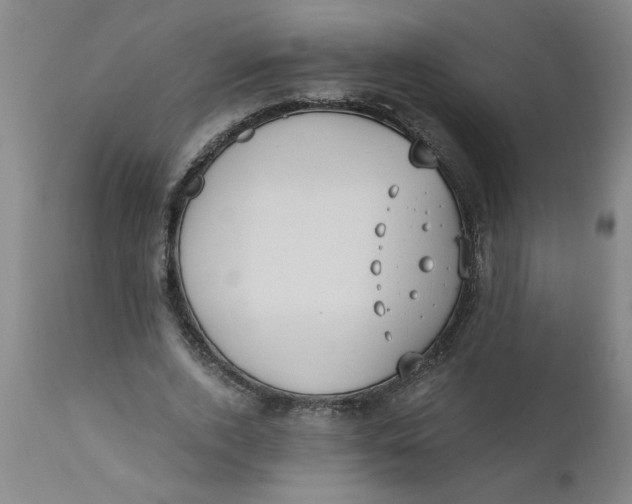 X0000110670728200907021845