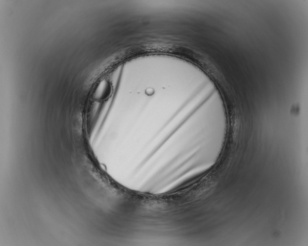 X0000110670729200907021845