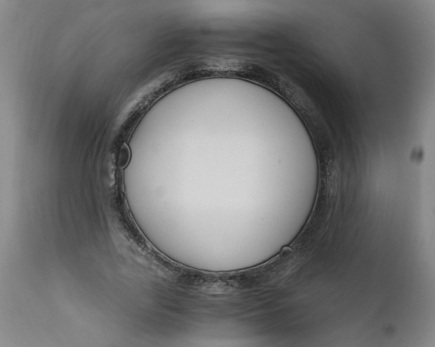 X0000110670731200907021845