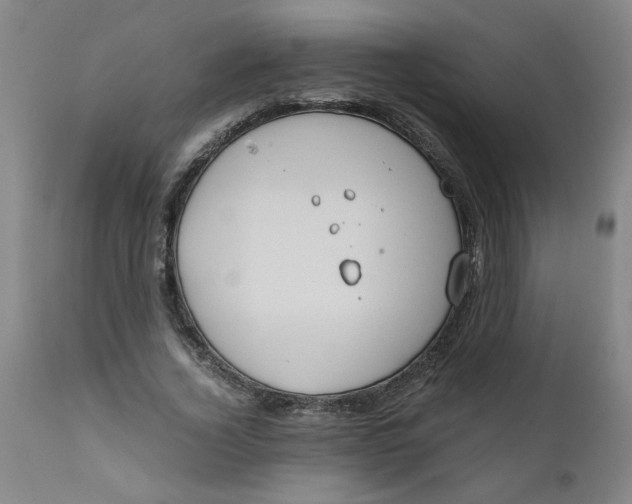 X0000110670732200907021845