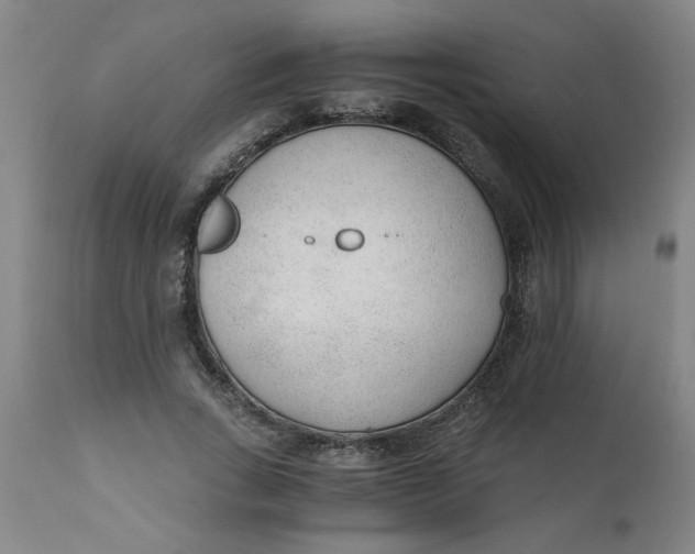 X0000110670735200907021845