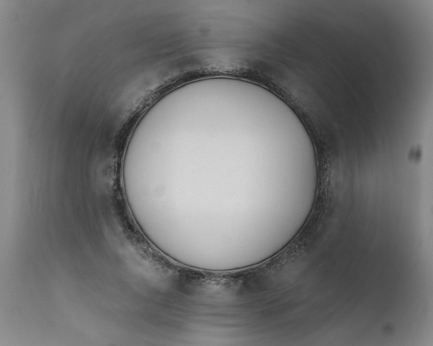 X0000110670736200907021845