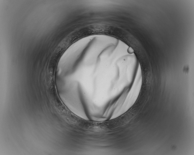 X0000110670737200907021845