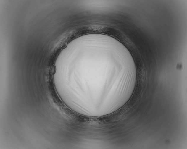 X0000110670738200907021845