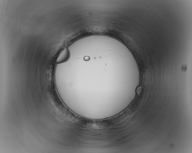 X0000110670739200907021845