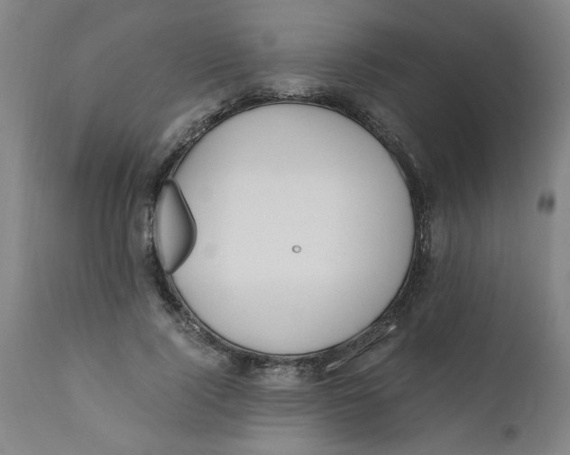 X0000110670740200907021845
