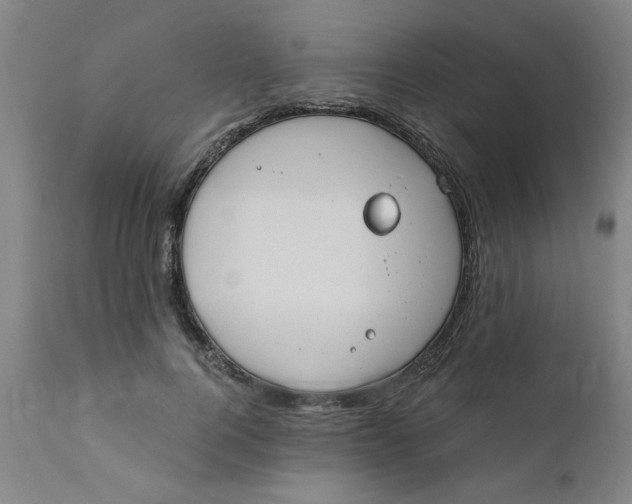 X0000110670744200907021846