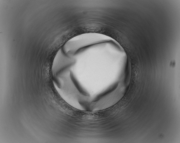 X0000110670745200907021846