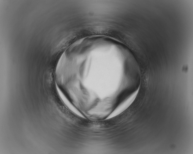 X0000110670746200907021846
