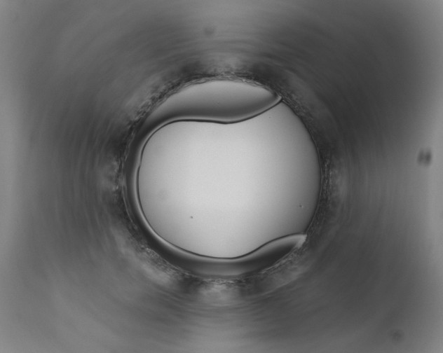 X0000110670750200907021846