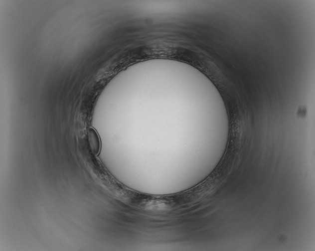 X0000110670751200907021846