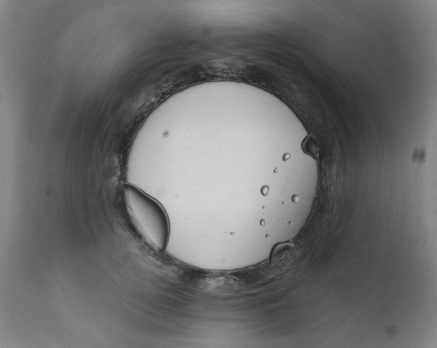 X0000110670752200907021846