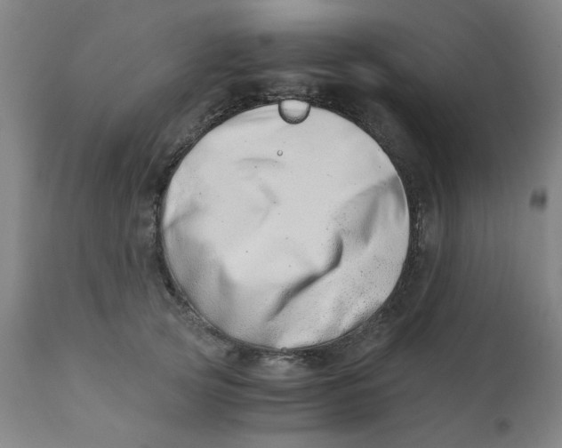X0000110670753200907021846