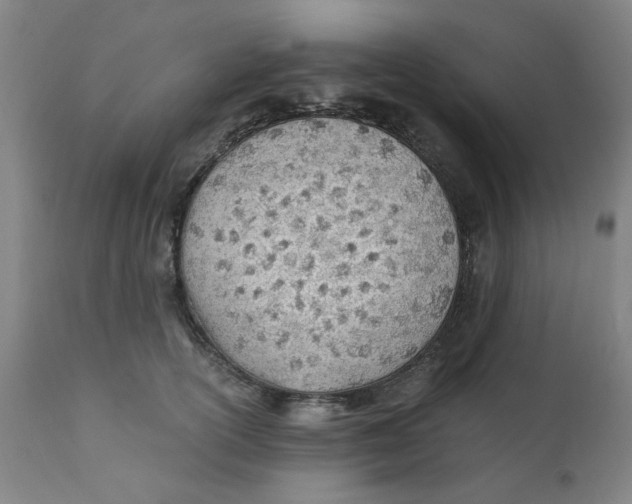 X0000110670754200907021846