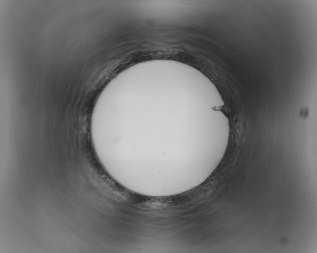 X0000110670756200907021846