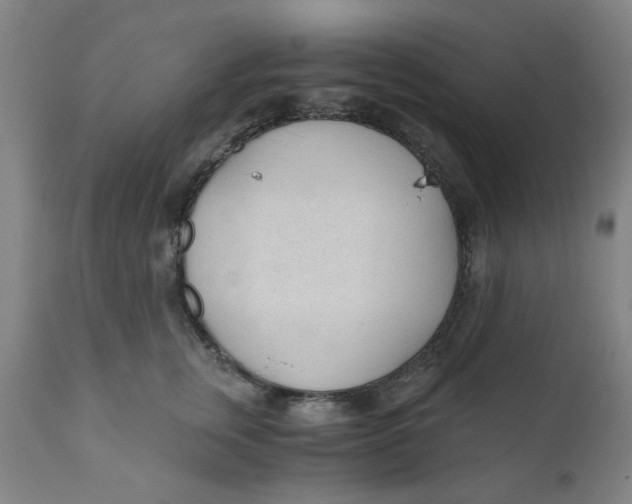 X0000110670759200907021846