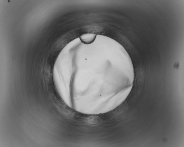 X0000110670761200907021846