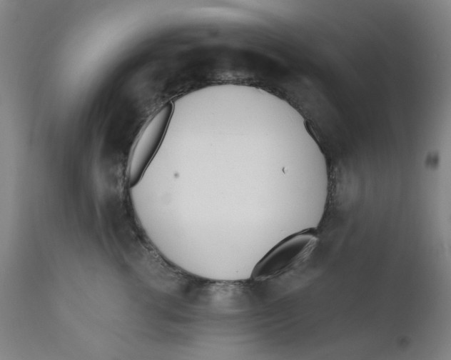 X0000110670762200907021846
