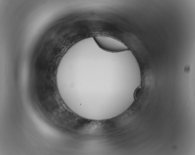 X0000110670764200907021846