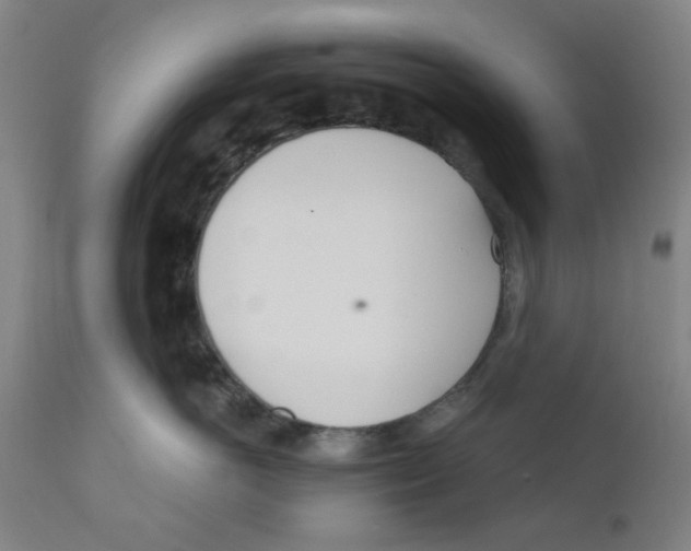 X0000110670766200907021846