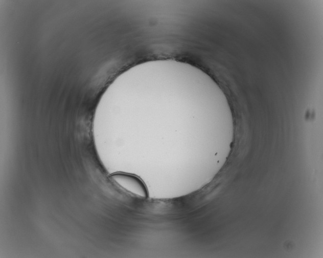 X0000110670768200907021846