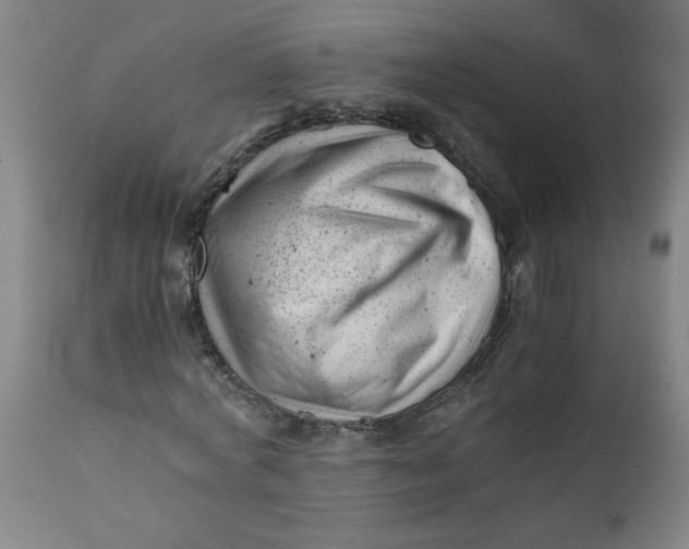 X0000110670772200907021845
