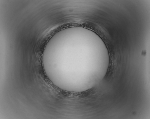 X0000110670773200907021845