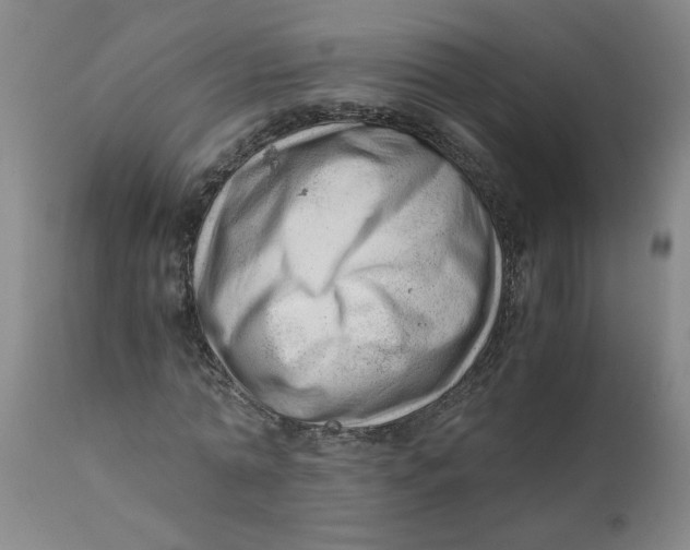X0000110670774200907021845