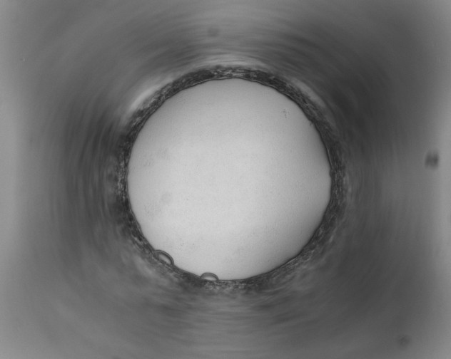 X0000110670775200907021845